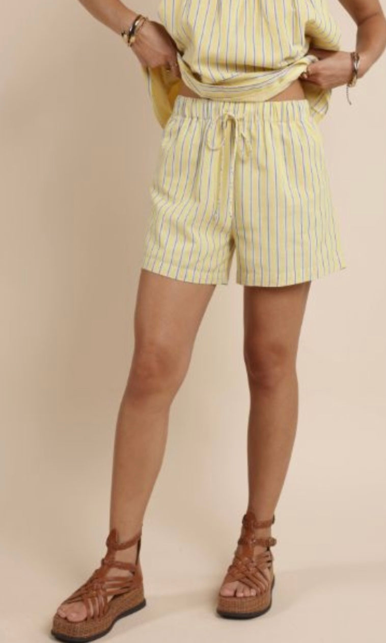 Paradise Found Striped Shorts