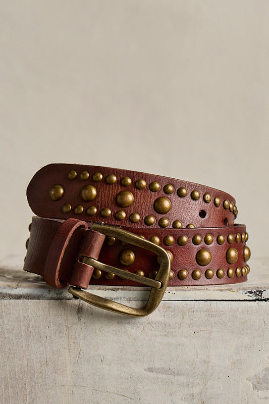 WTF Sola Stud Belt/ Cognac