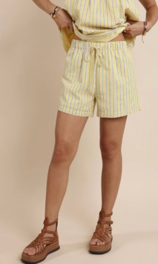 Paradise Found Striped Shorts
